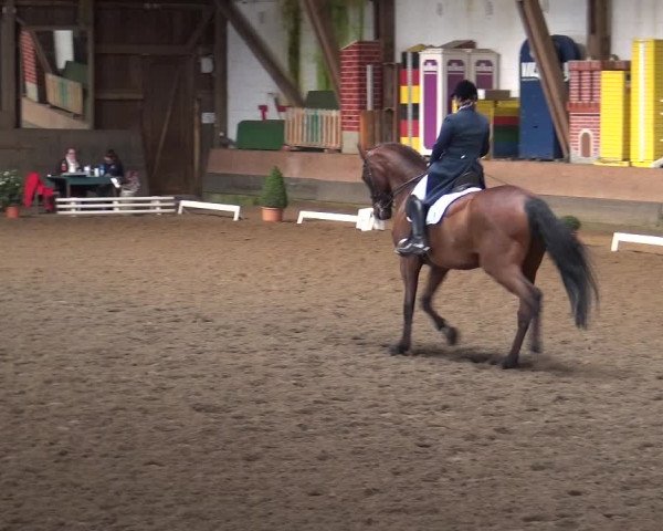 Reitturnier Hamburg-Hummelsbüttel 2018