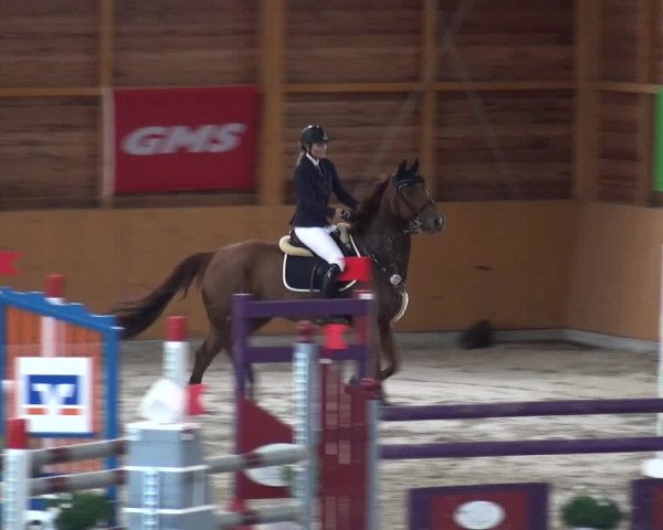 Reitturnier Xanten 2018