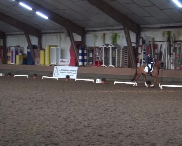Reitturnier Hamburg-Hummelsbüttel 2018