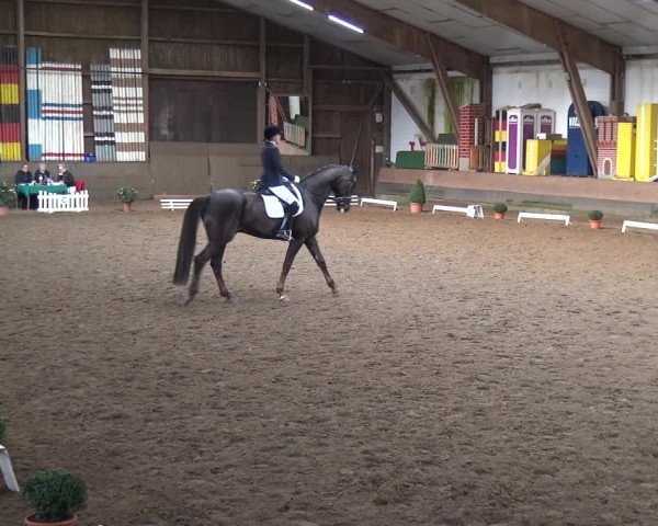 Reitturnier Hamburg-Hummelsbüttel 2018