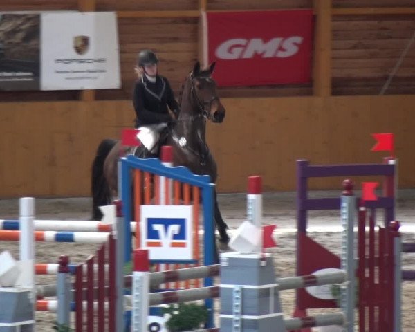 Reitturnier Xanten 2018