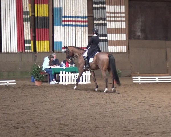 Reitturnier Hamburg-Hummelsbüttel 2018