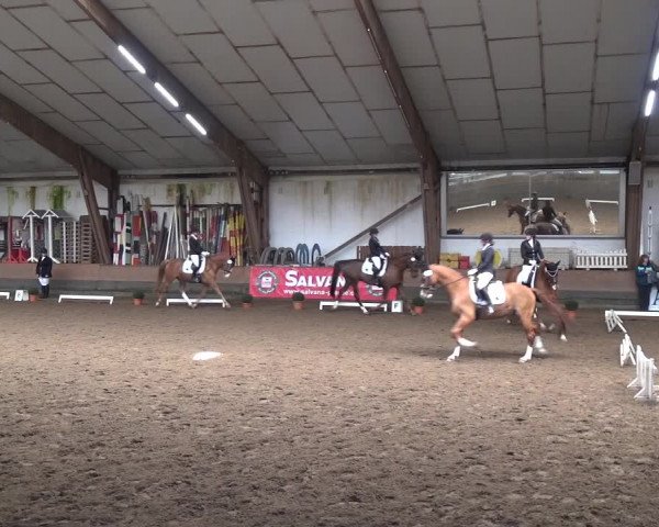 Reitturnier Hamburg-Hummelsbüttel 2018