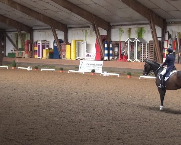Reitturnier Hamburg-Hummelsbüttel 2018
