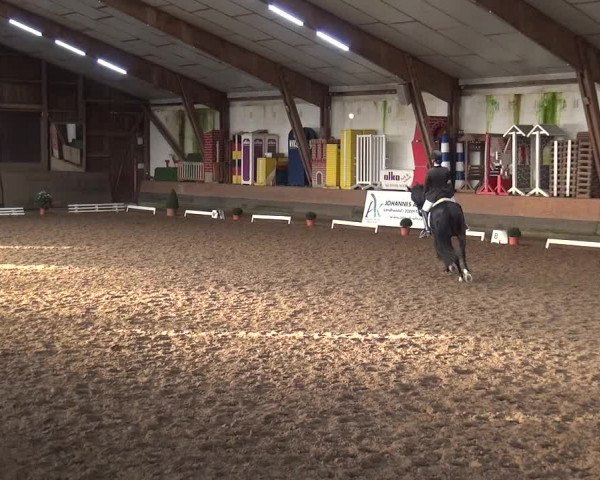 Reitturnier Hamburg-Hummelsbüttel 2018
