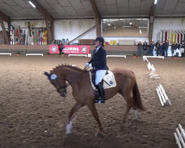 Reitturnier Hamburg-Hummelsbüttel 2018