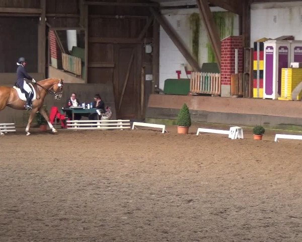 Reitturnier Hamburg-Hummelsbüttel 2018