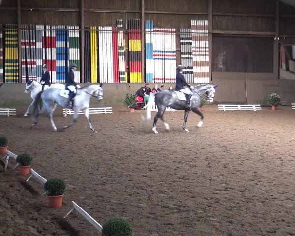 Reitturnier Hamburg-Hummelsbüttel 2018