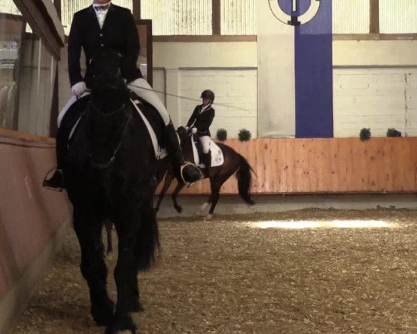 Reitturnier Bottrop 2018