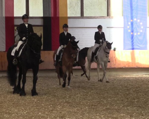 Reitturnier Bottrop 2018
