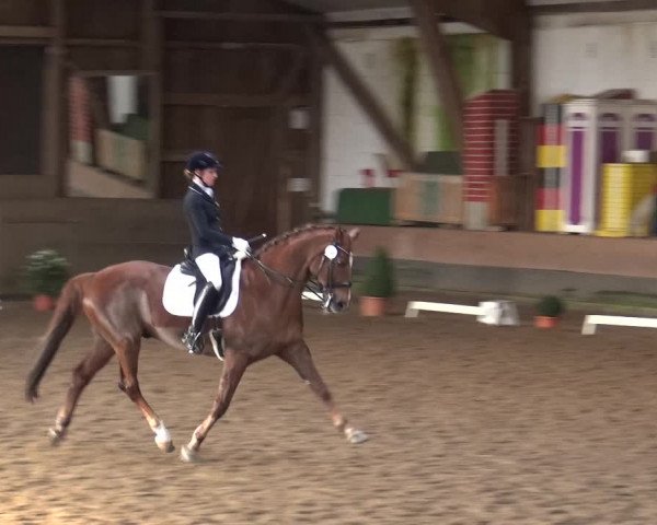 Reitturnier Hamburg-Hummelsbüttel 2018