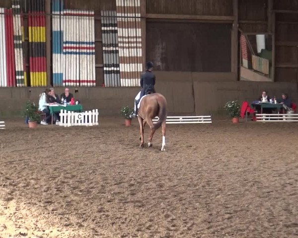Reitturnier Hamburg-Hummelsbüttel 2018
