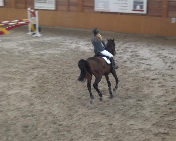 Reitturnier Xanten 2018