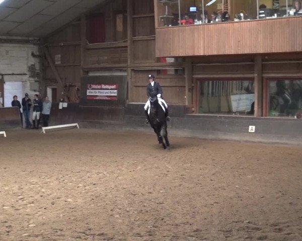 Reitturnier Hamburg-Hummelsbüttel 2018