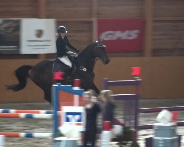 Reitturnier Xanten 2018