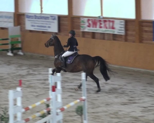 Reitturnier Xanten 2018