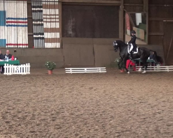 Reitturnier Hamburg-Hummelsbüttel 2018