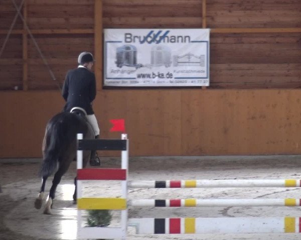 Reitturnier Xanten 2018