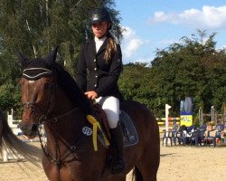 jumper Eagles Child (KWPN (Royal Dutch Sporthorse), 2009, from Toulon)