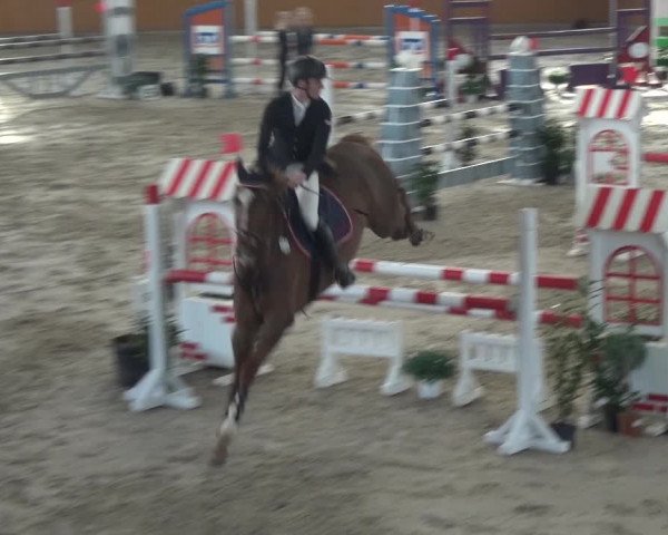 Reitturnier Xanten 2018