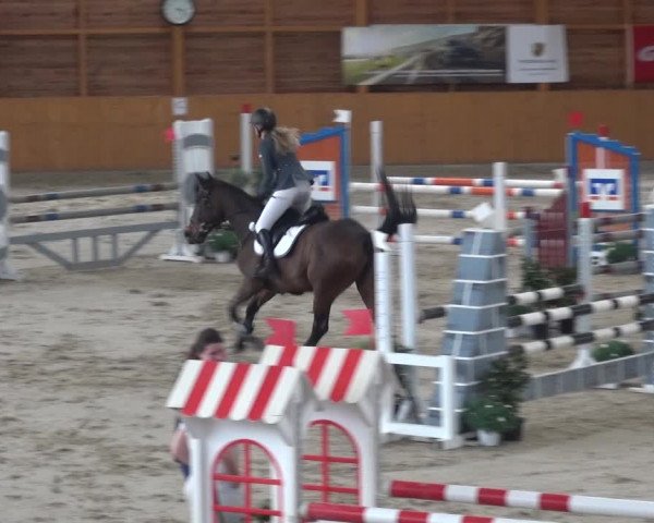 Reitturnier Xanten 2018