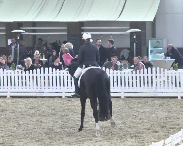 Reitturnier Saarlouis 2018