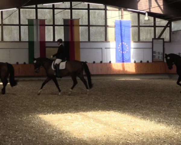 Reitturnier Bottrop 2018
