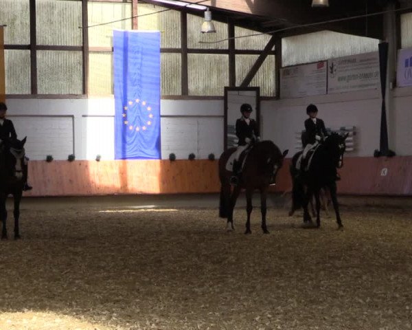 Reitturnier Bottrop 2018