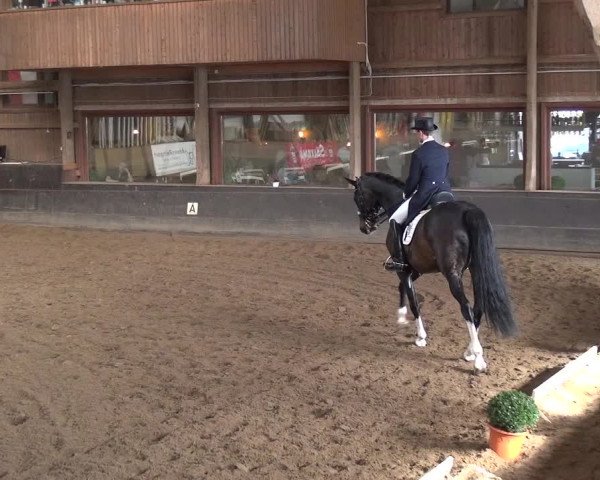 Reitturnier Hamburg-Hummelsbüttel 2018