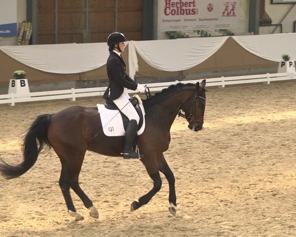 Reitturnier Saarlouis 2018