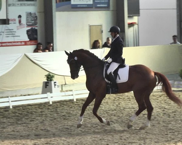 Reitturnier Saarlouis 2018