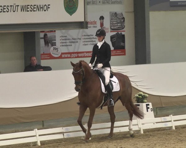Reitturnier Saarlouis 2018