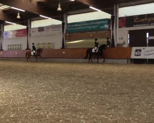 Reitturnier Bottrop 2018