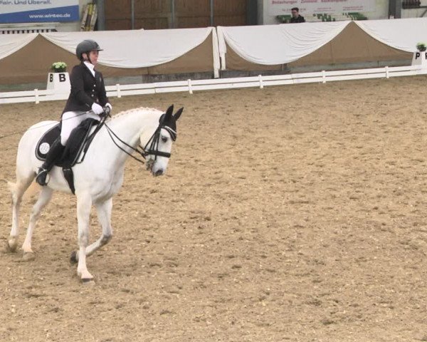 Reitturnier Saarlouis 2018