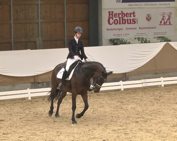 Reitturnier Saarlouis 2018