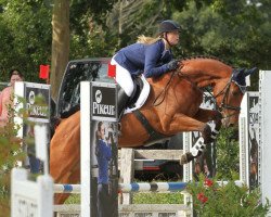 broodmare Abbygale F (German Sport Horse, 2009, from Abke 4)