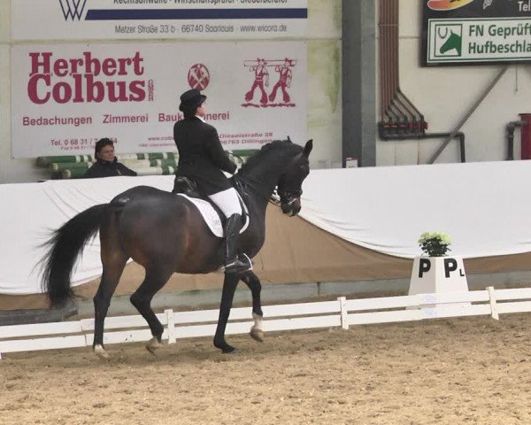 Reitturnier Saarlouis 2018