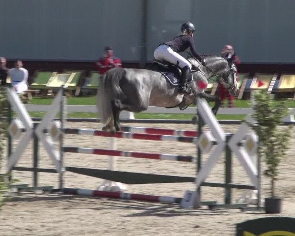 Reitturnier Zweibrücken 2018