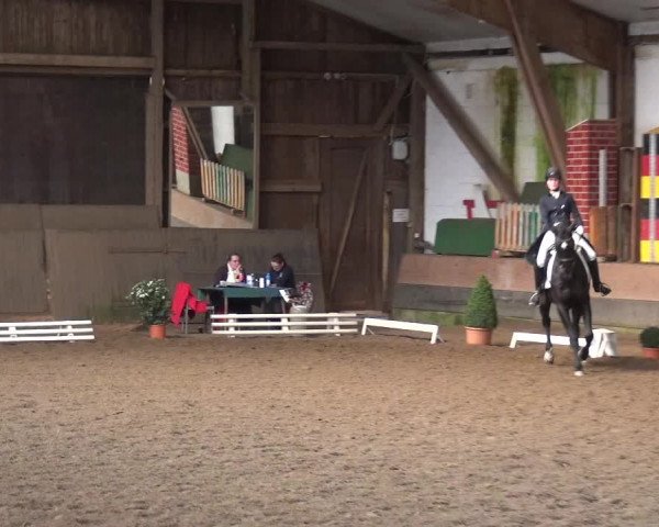 Reitturnier Hamburg-Hummelsbüttel 2018