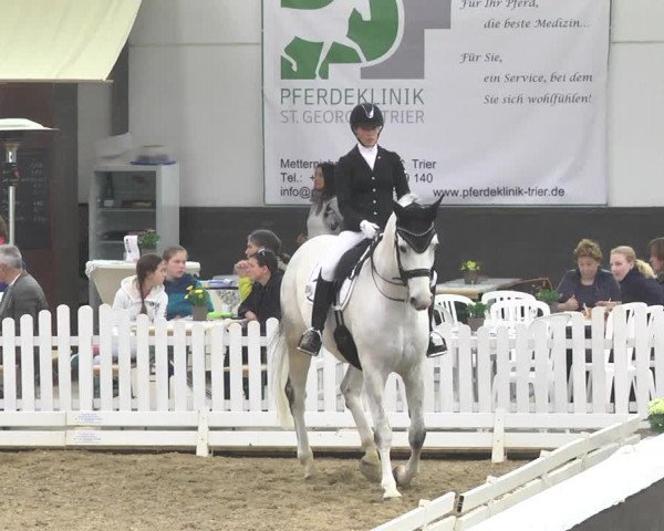 Reitturnier Saarlouis 2018