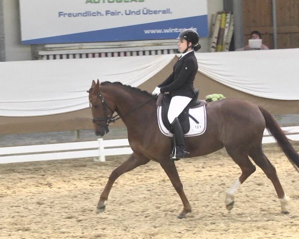 Reitturnier Saarlouis 2018