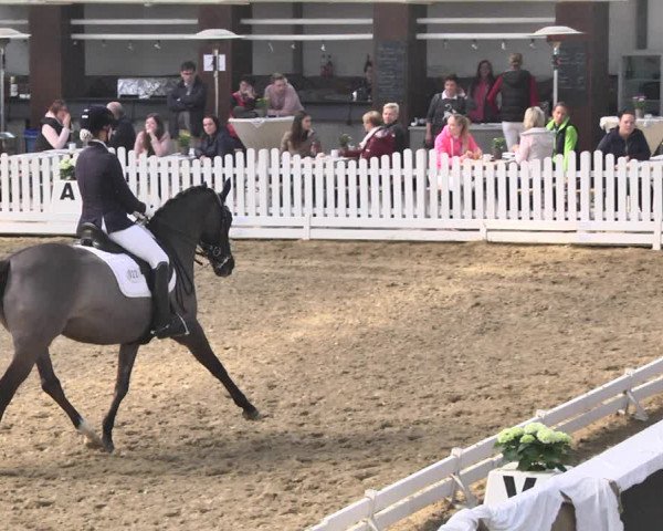 Reitturnier Saarlouis 2018