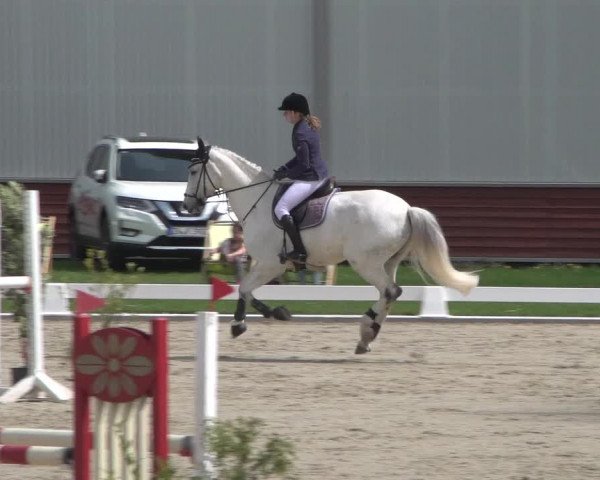 Reitturnier Zweibrücken 2018