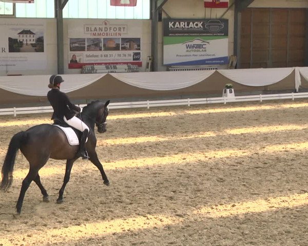 Reitturnier Saarlouis 2018