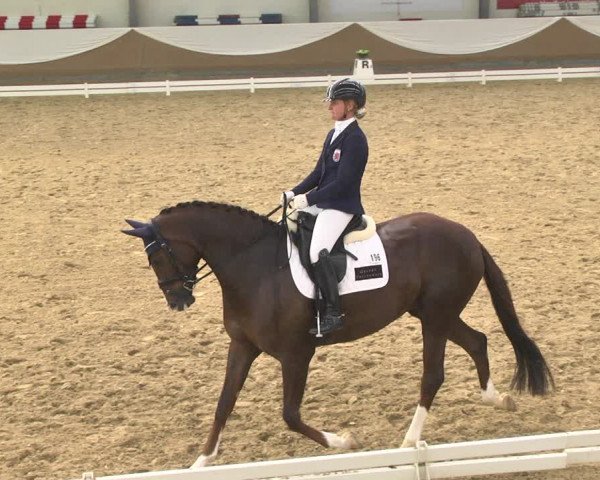 Reitturnier Saarlouis 2018