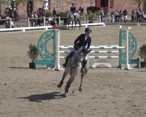 Reitturnier Zweibrücken 2018