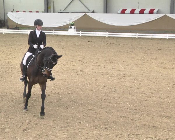 Reitturnier Saarlouis 2018