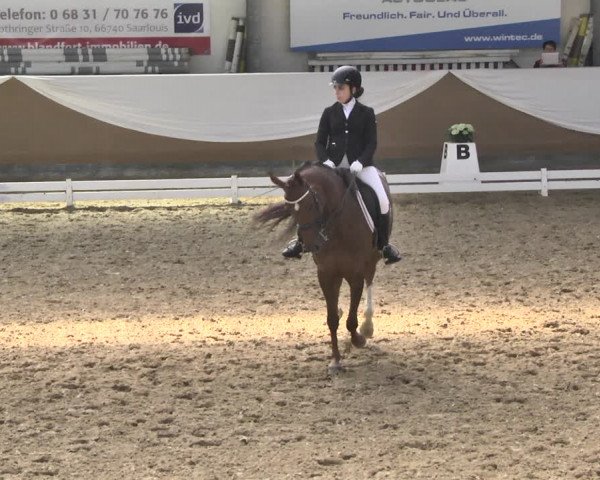 Reitturnier Saarlouis 2018
