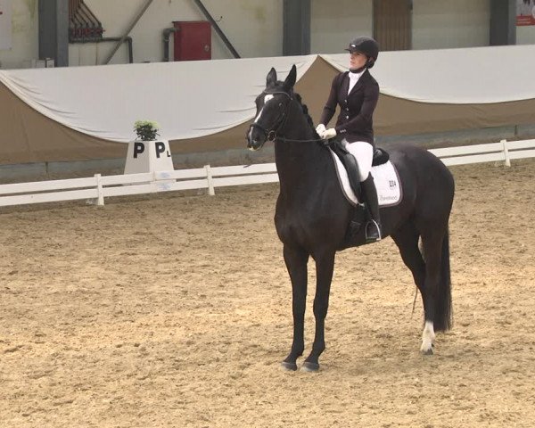 Reitturnier Saarlouis 2018