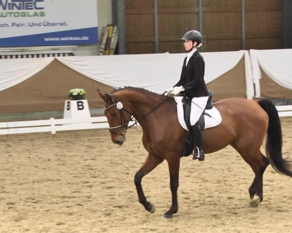 Reitturnier Saarlouis 2018